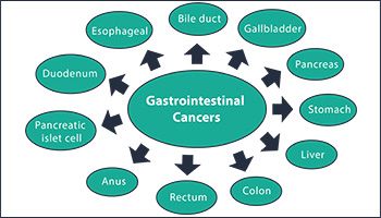gastroenterology doctors in bangalore, gastrointestinal specialist in bangalore, best hospital for gastroenterology in bangalore 